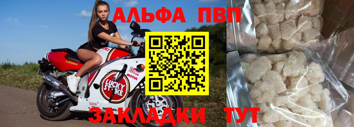 A PVP СК КРИС Дятьково