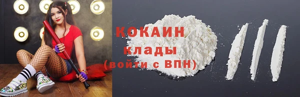 дживик Михайловск
