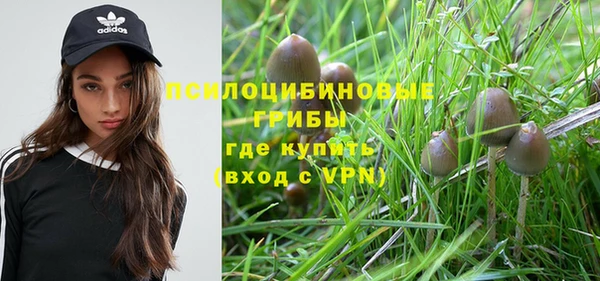 дживик Михайловск