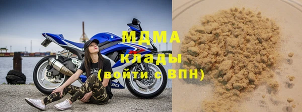 шишки Гусиноозёрск