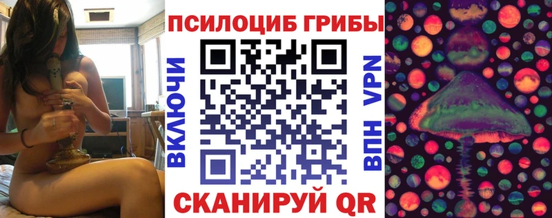 Псилоцибиновые грибы Cubensis  Дятьково 