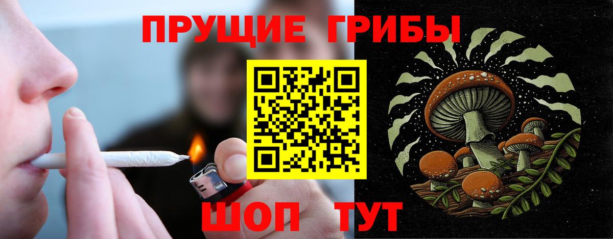 Галлюциногенные грибы Magic Shrooms Дятьково