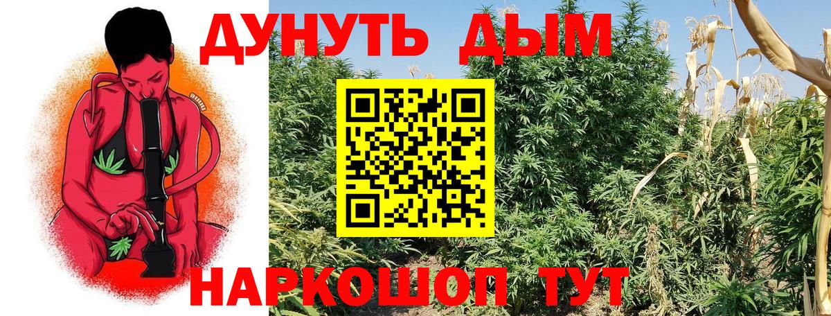 Альфа ПВП Дятьково